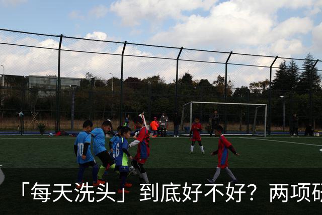 「每天洗头」到底好不好？两项研究：较高的洗发频率对亚洲人群的头皮和头发健康有益，但护发产品的使用需警惕！或会影响室内空气与健康