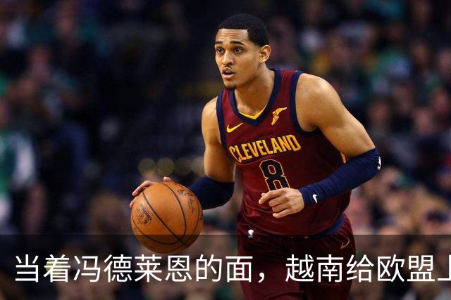当着冯德莱恩的面，越南给欧盟上了一课：什么叫“中国力量”
