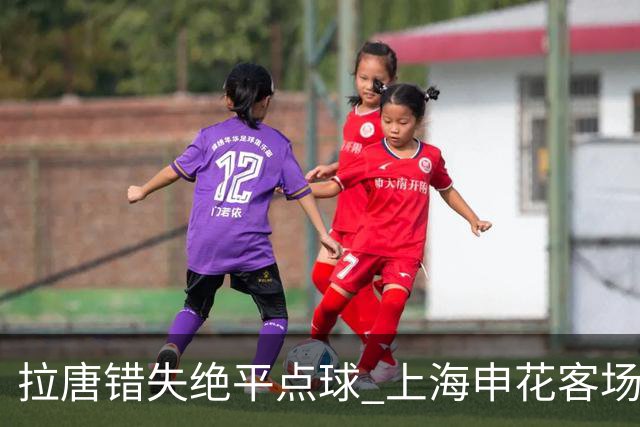 拉唐错失绝平点球 上海申花客场不敌深圳新鹏城