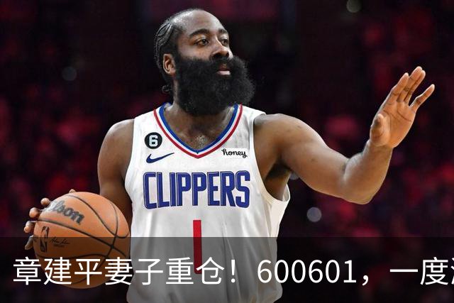 章建平妻子重仓！600601，一度涨停