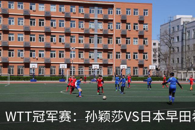 WTT冠军赛：孙颖莎VS日本早田希娜、蒯曼VS日本张本美和、陈熠VS佐藤瞳
